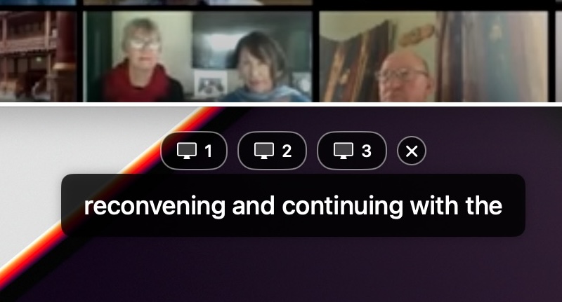 SigMeet subtitle configuration and overlay controls.